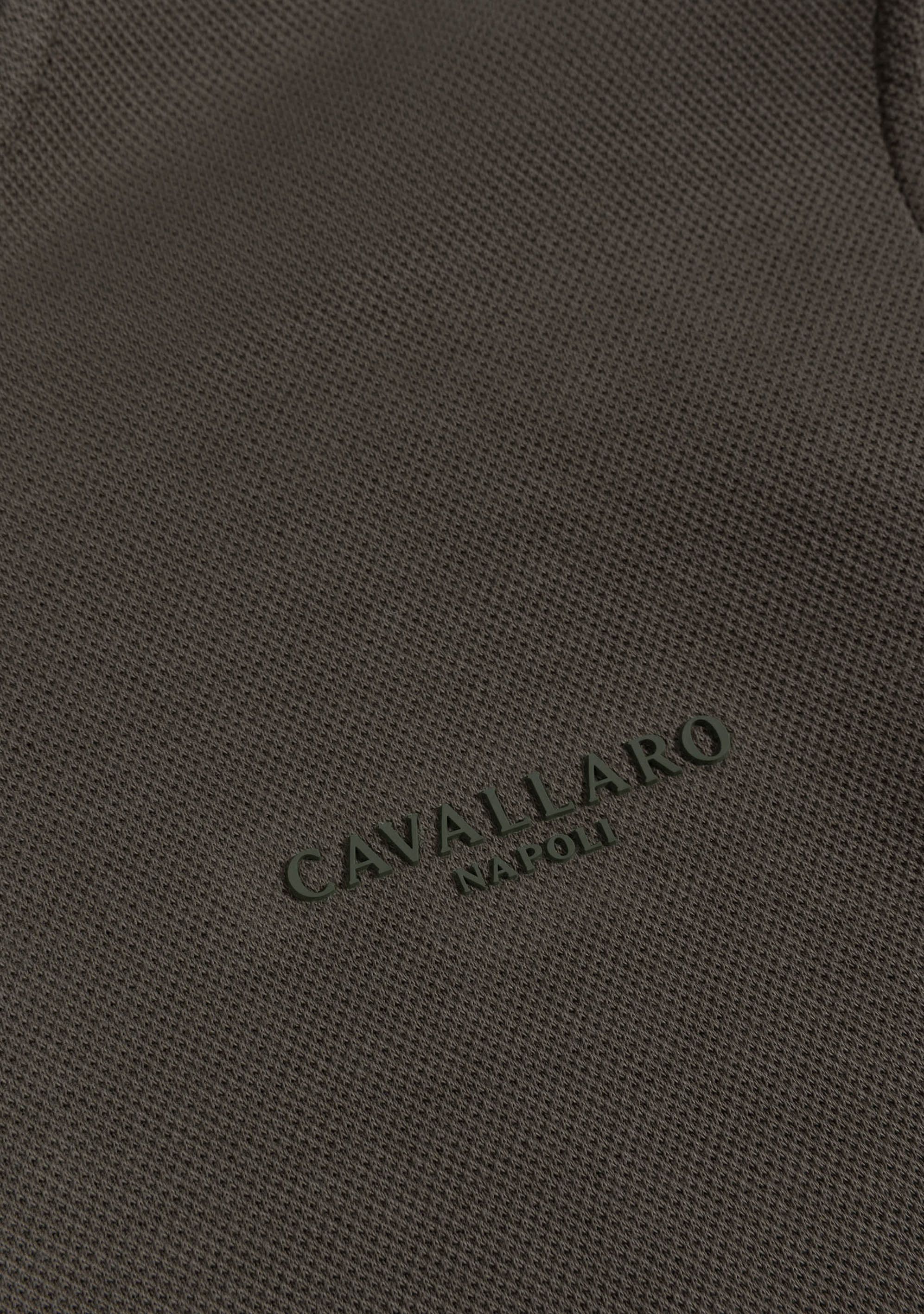 CAVALLARO TRUI