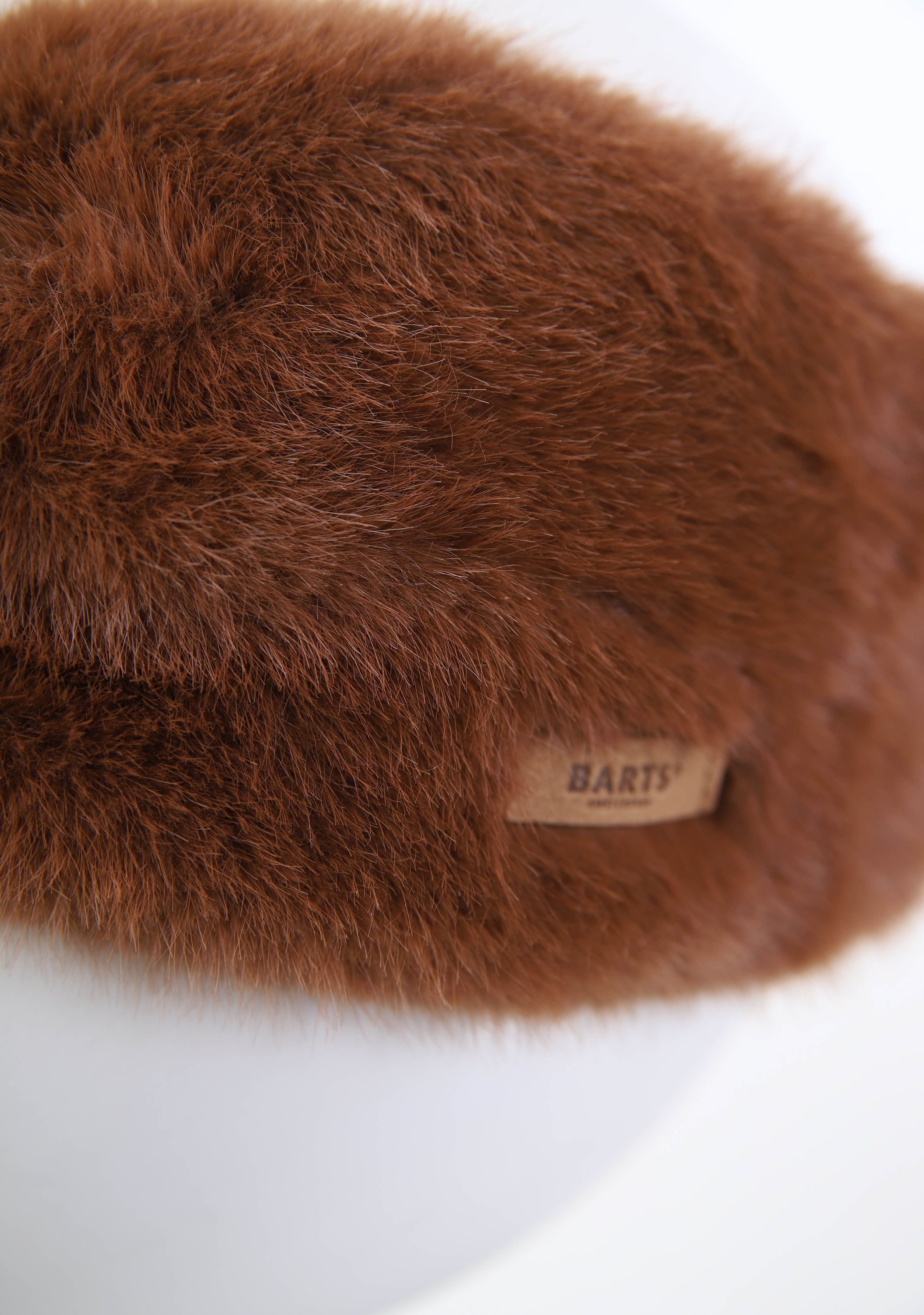 BARTS PET