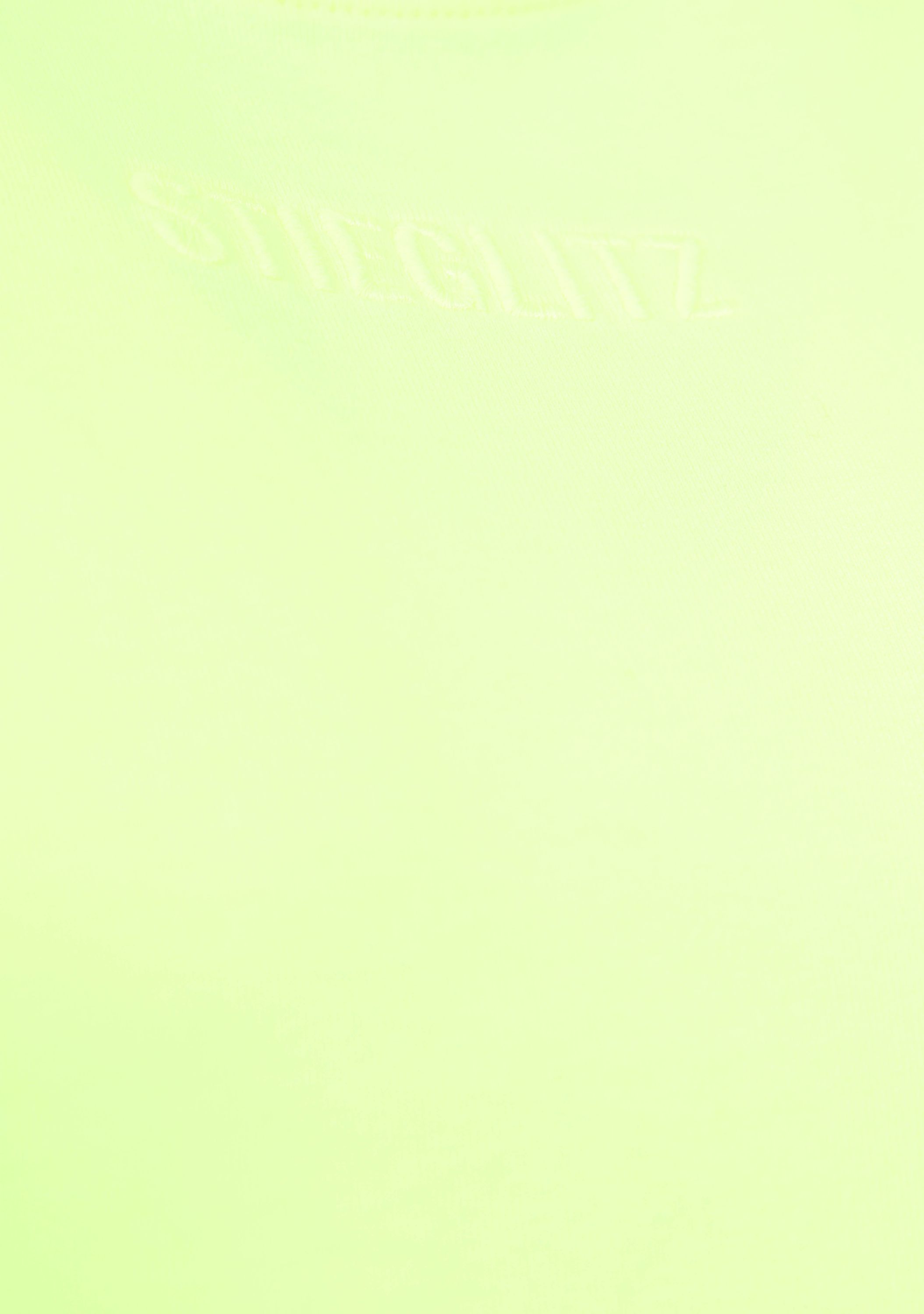 STIEGLITZ SHIRT