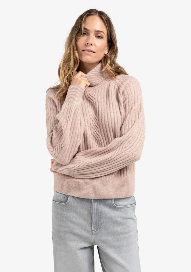 YAYA COLTRUI YAYA COLTRUI