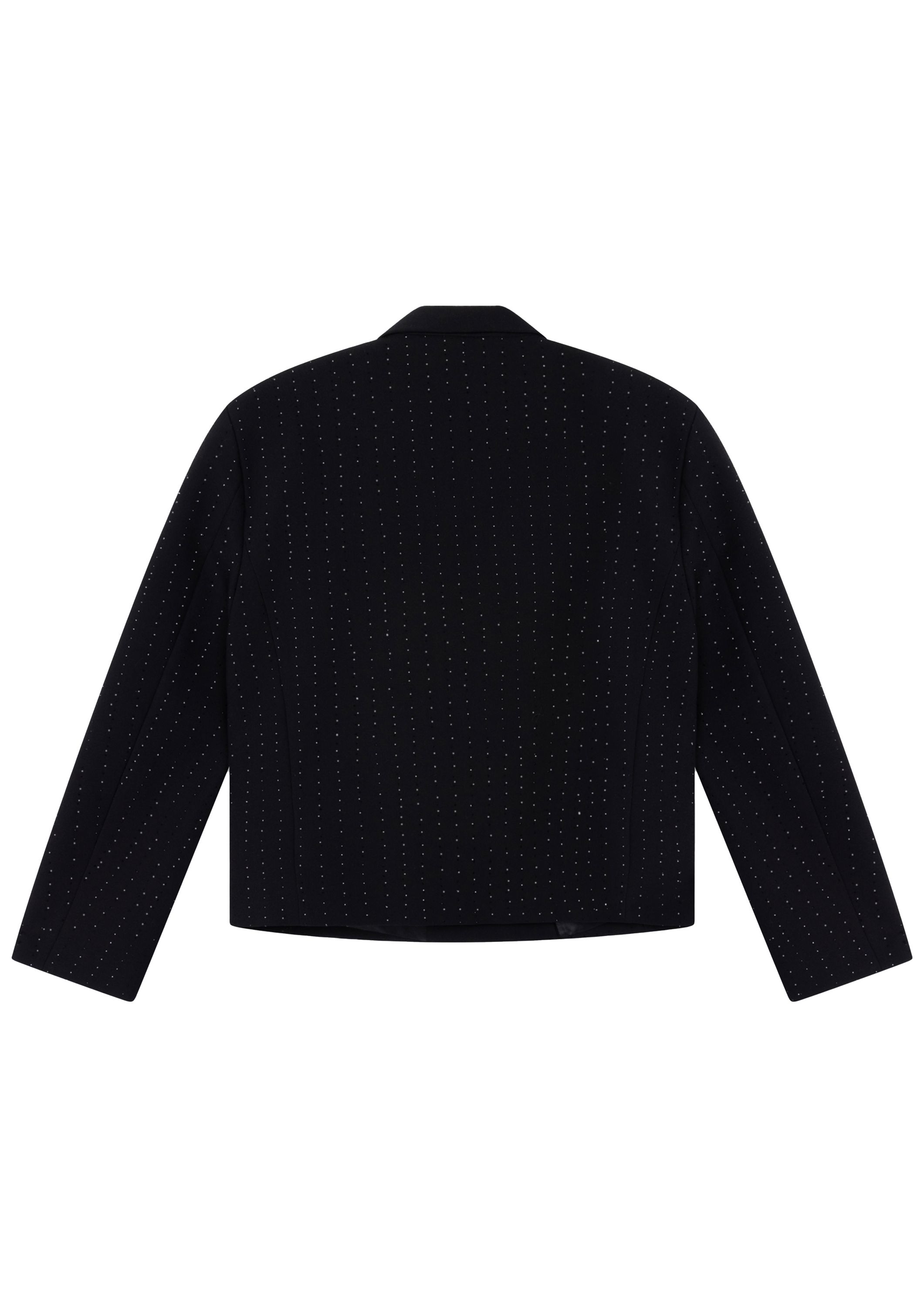 ALIX THE LABEL BLAZER