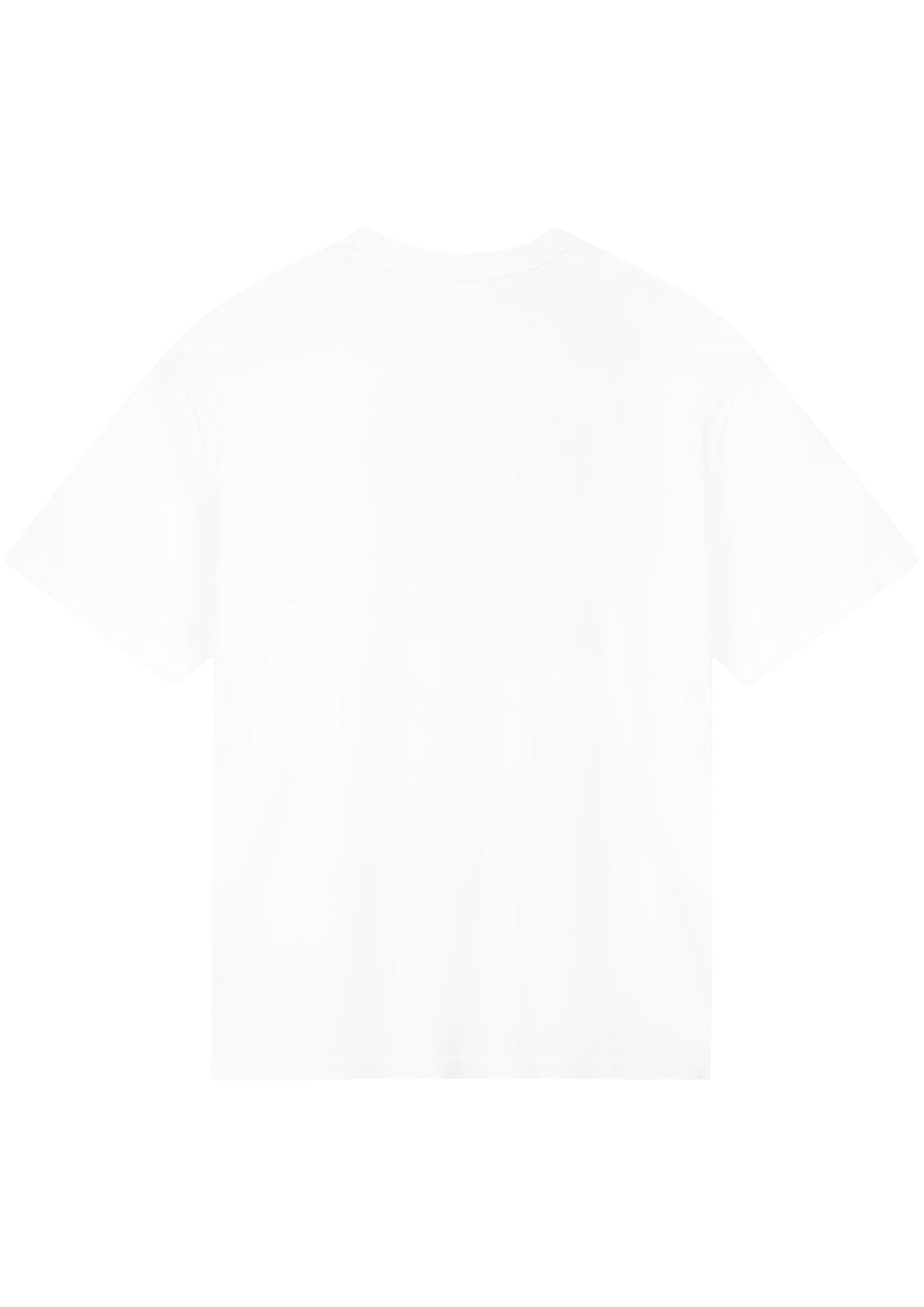 STIEGLITZ SHIRT