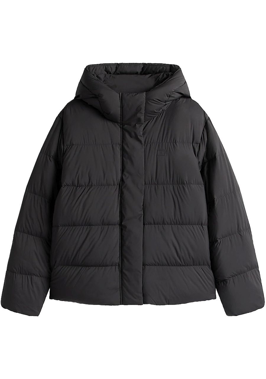 TOMMY HILFIGER JACK