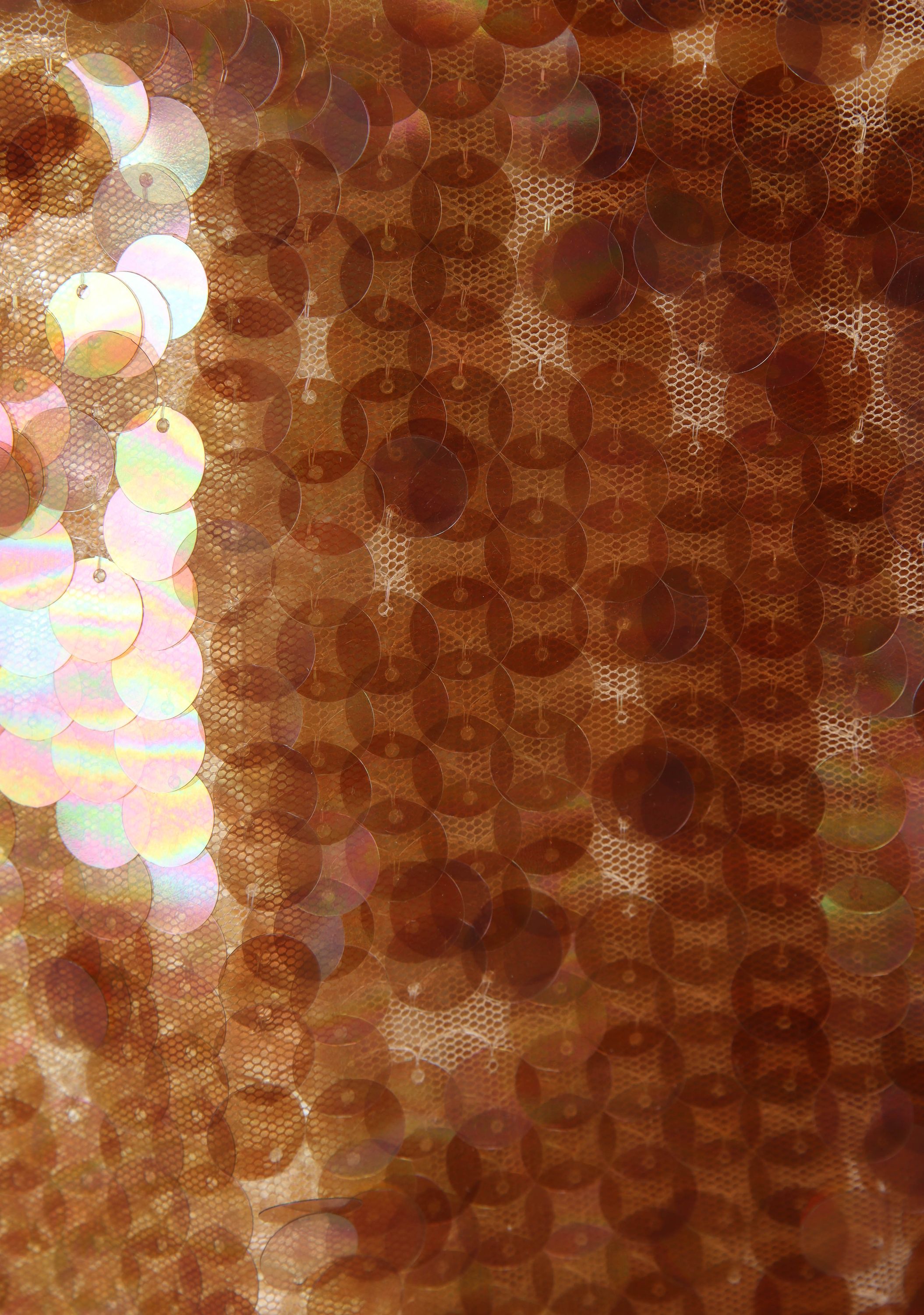 BAUM UND PFERDGARTEN JASJE