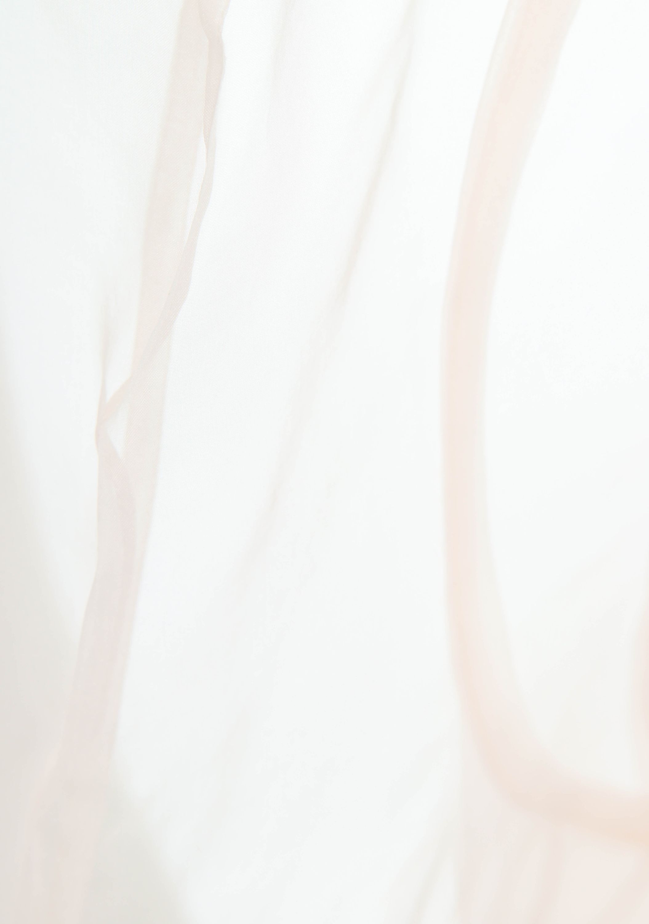 BAUM UND PFERDGARTEN JASJE