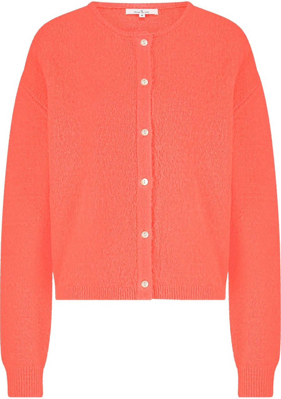 CIRCLE OF TRUST VEST