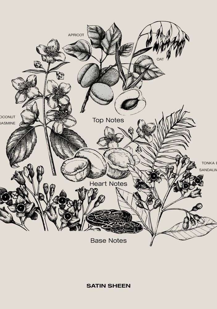 SOPHIA MAE ACCESSOIRE