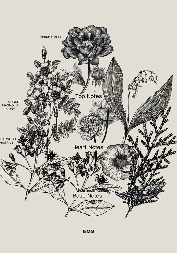 SOPHIA MAE ACCESSOIRE