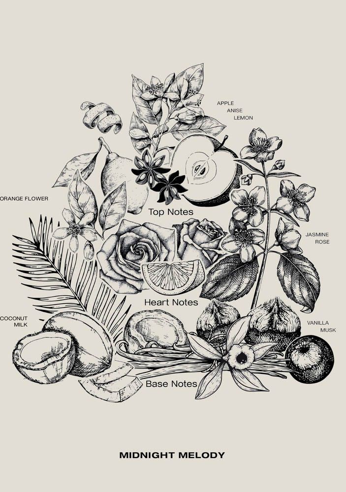 SOPHIA MAE ACCESSOIRE