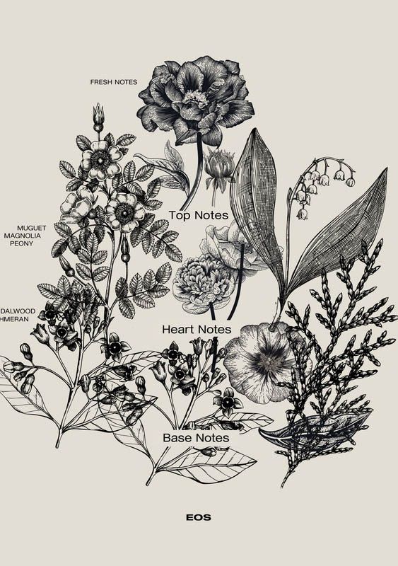 SOPHIA MAE ACCESSOIRE