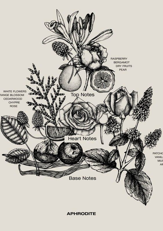 SOPHIA MAE ACCESSOIRE