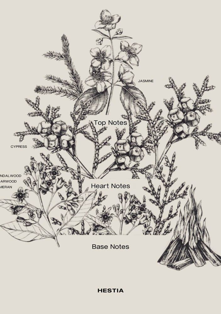 SOPHIA MAE ACCESSOIRE