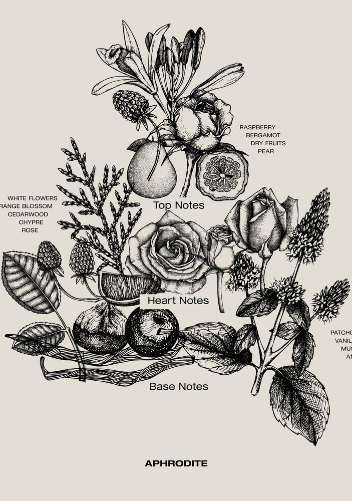 SOPHIA MAE ACCESSOIRE