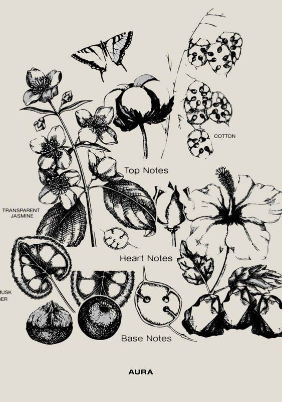 SOPHIA MAE ACCESSOIRE