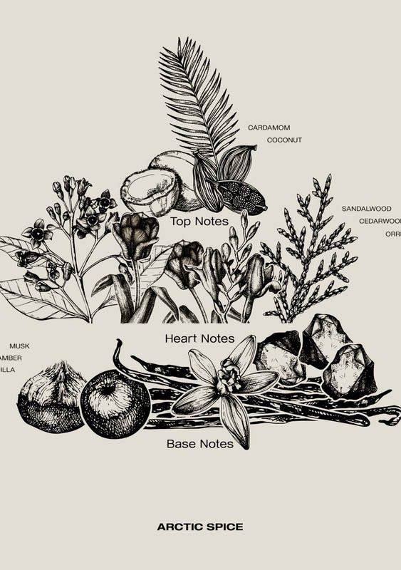 SOPHIA MAE ACCESSOIRE