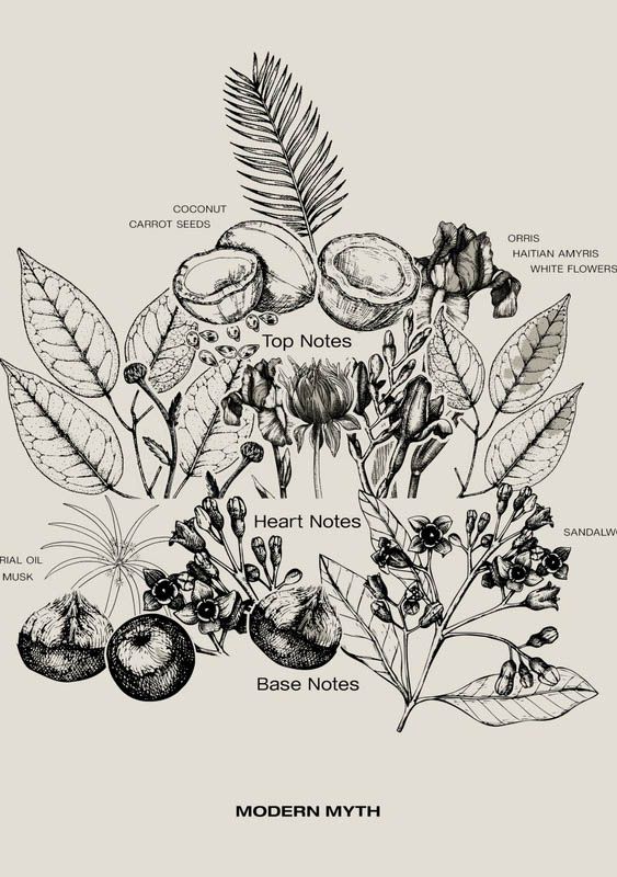 SOPHIA MAE ACCESSOIRE