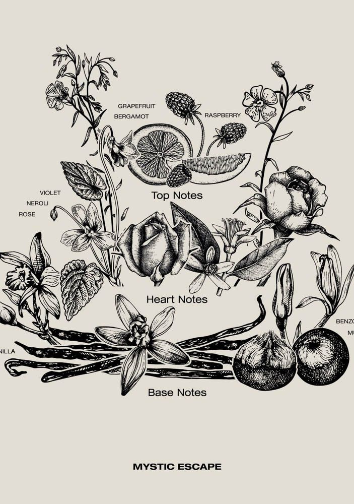 SOPHIA MAE ACCESSOIRE