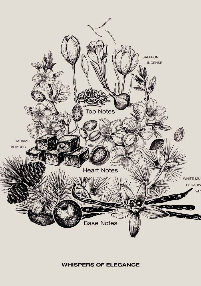 SOPHIA MAE ACCESSOIRE