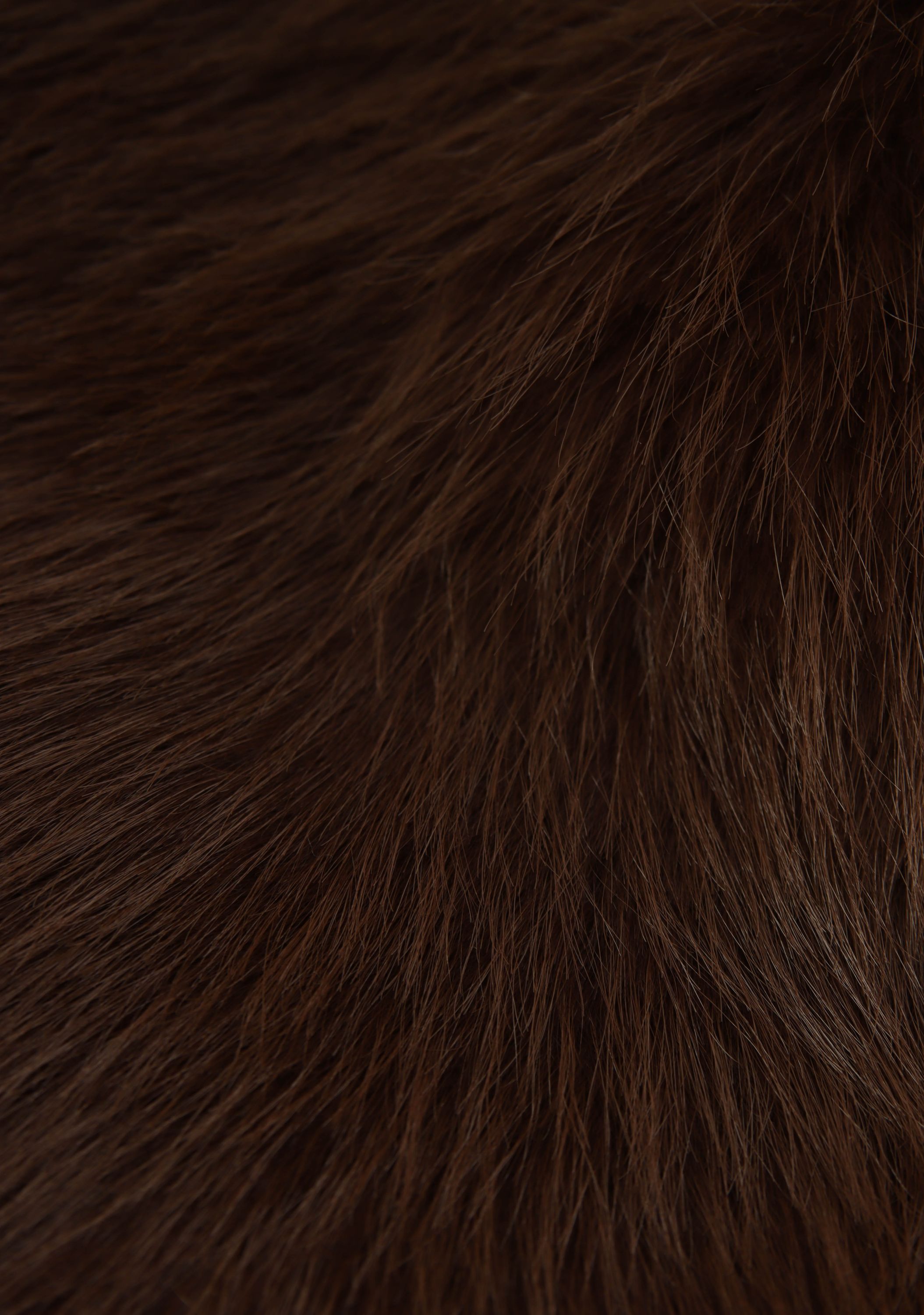 BARTS - ACCESSOIRE - Bruin