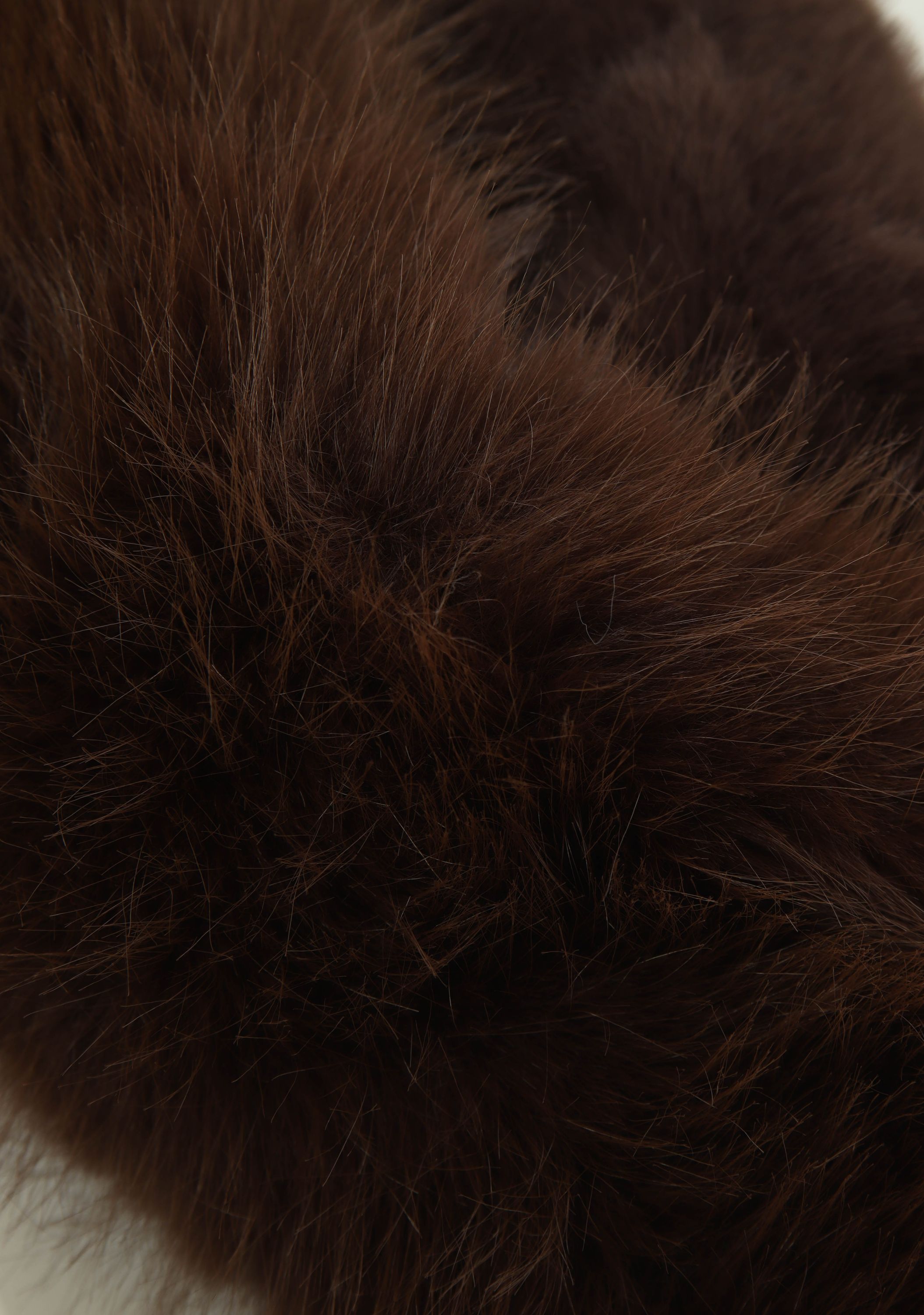 BARTS - ACCESSOIRE - Bruin
