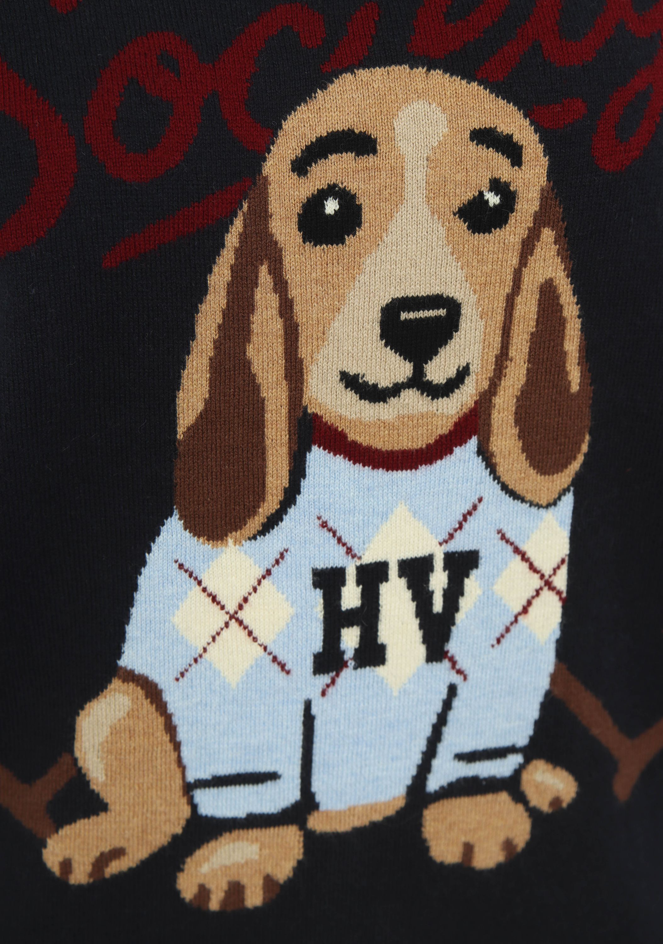 H.V. POLO - TRUI - Blauw
