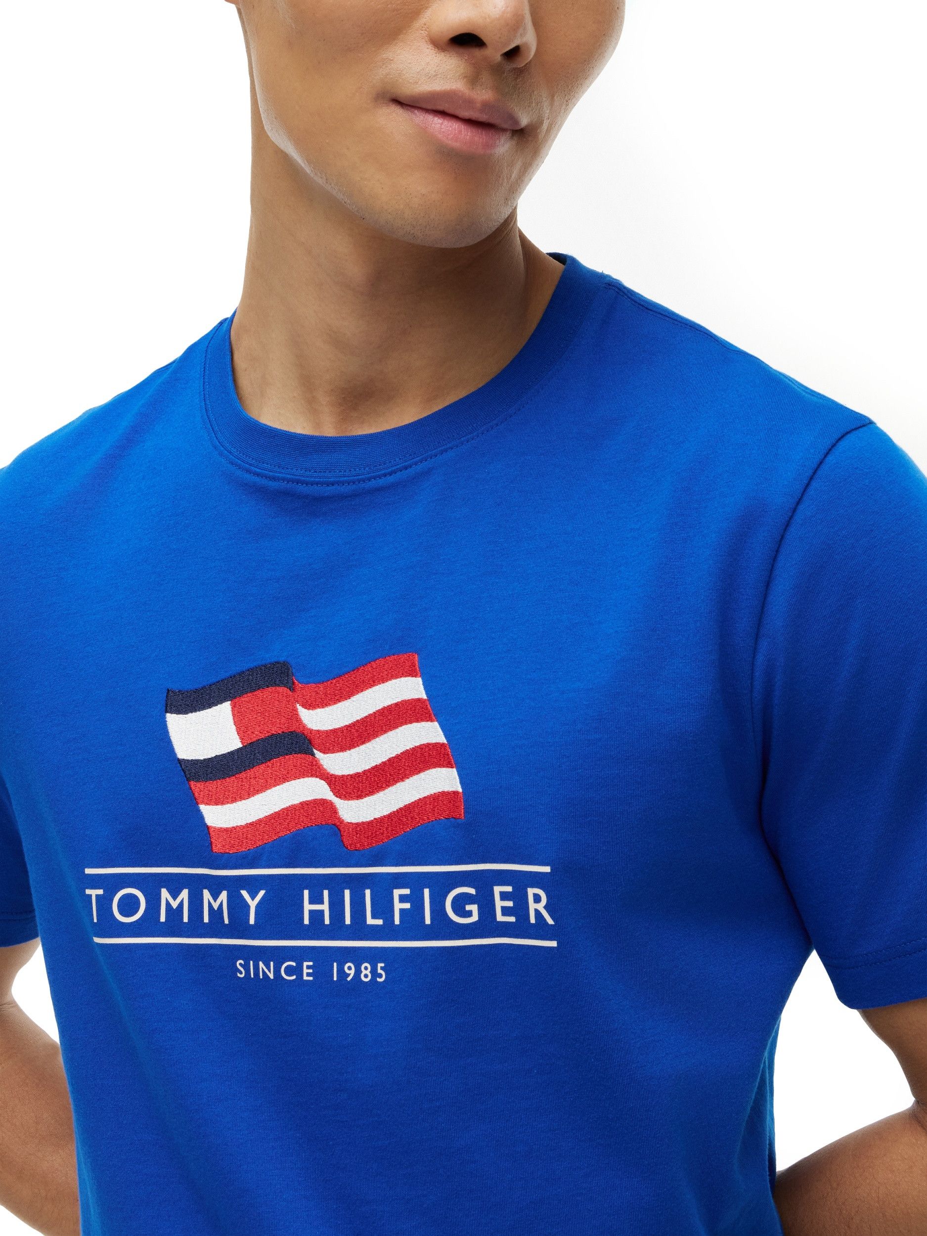 TOMMY HILFIGER - TSHIRT - Blauw