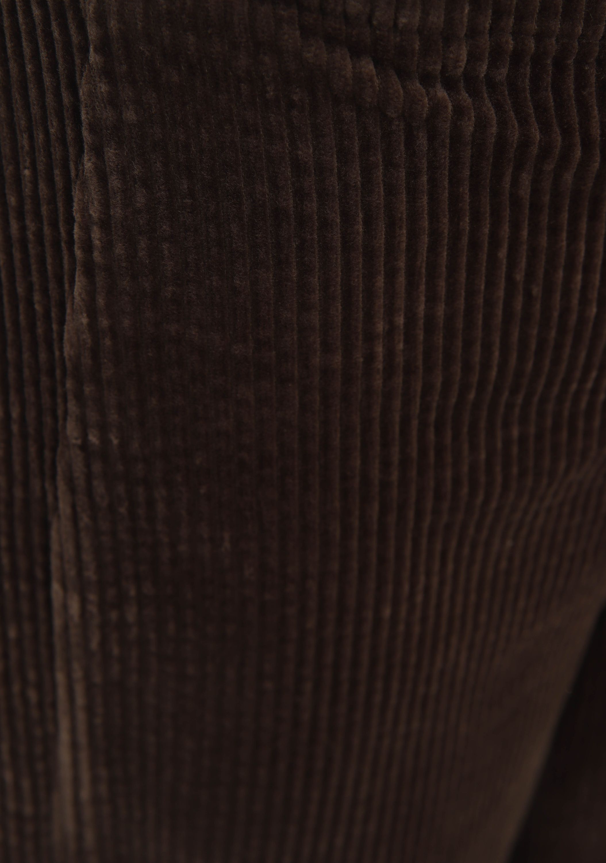 JC SOPHIE - BROEK - Bruin