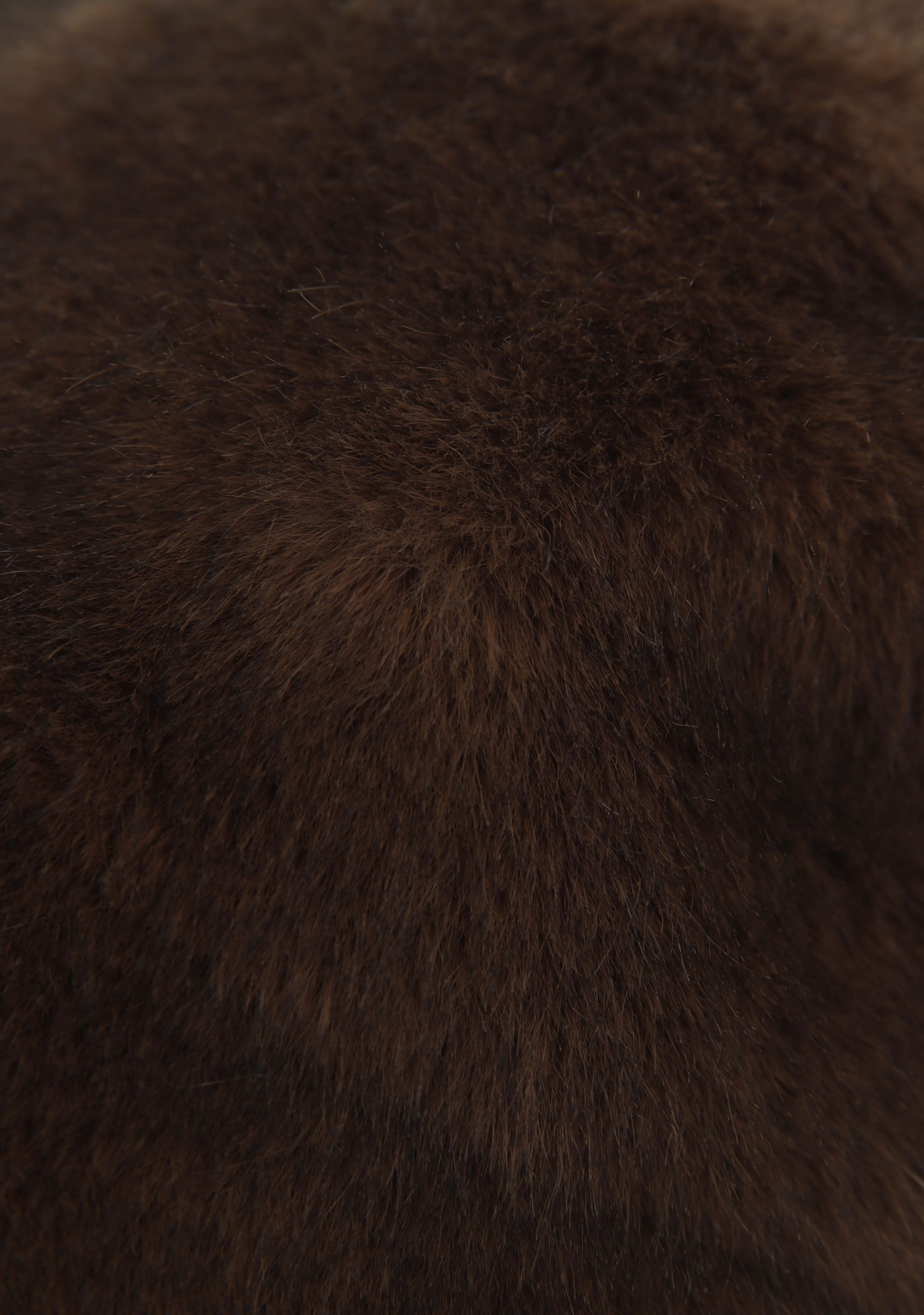 STUDIO AR - ACCESSOIRE - Bruin