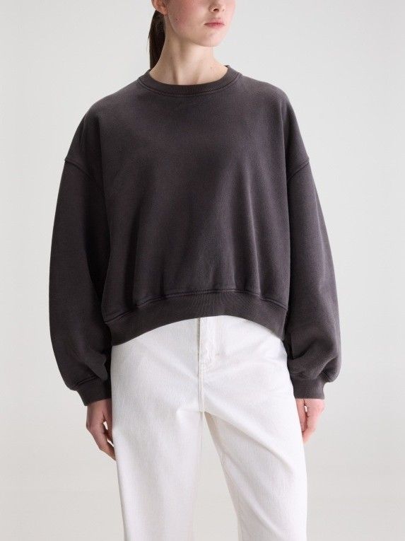 BELLEROSE - TRUI - Bruin