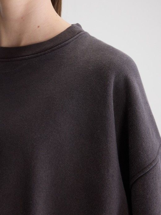 BELLEROSE - TRUI - Bruin