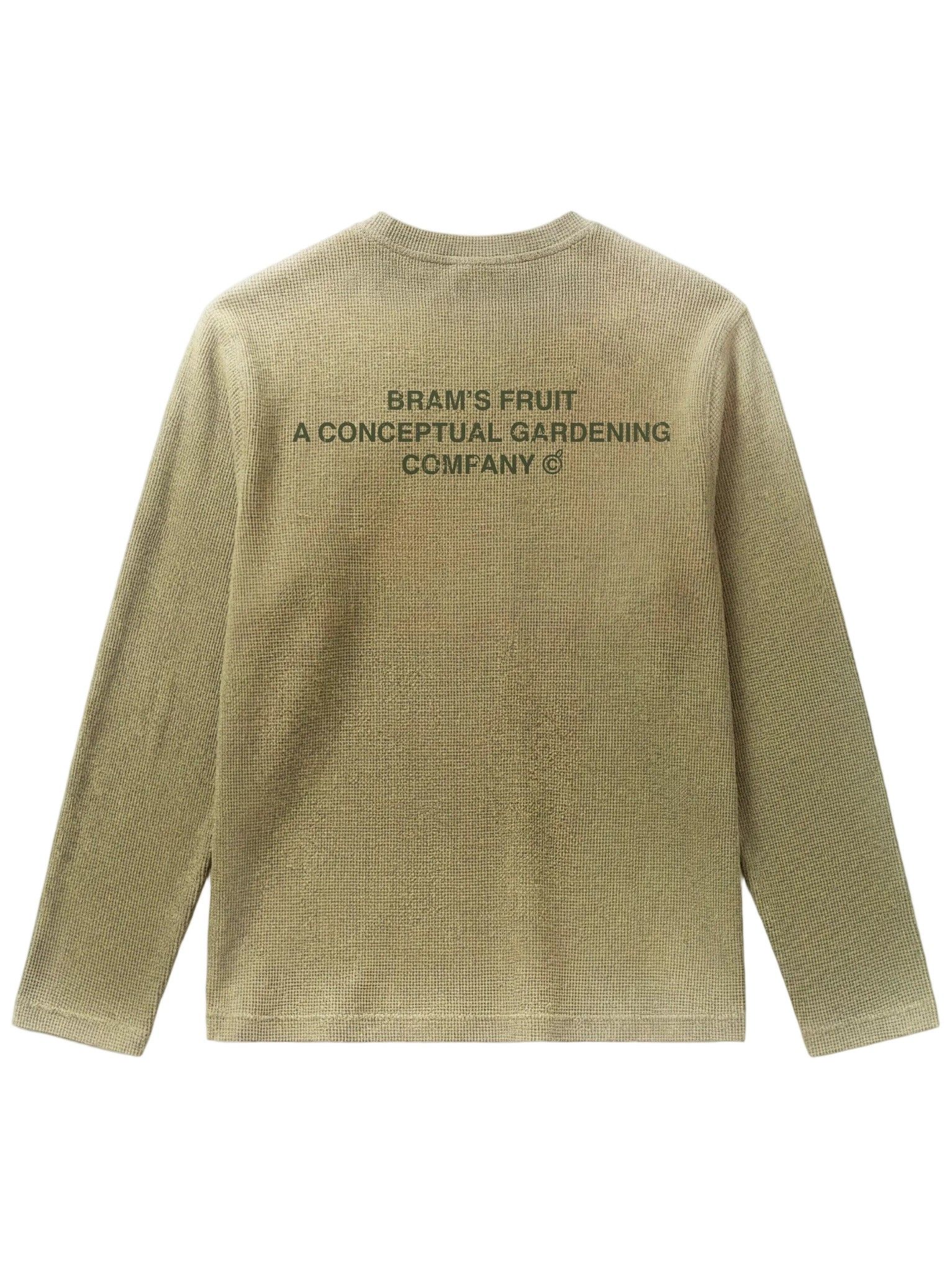 BRAMS FRUIT - TSHIRT - Groen