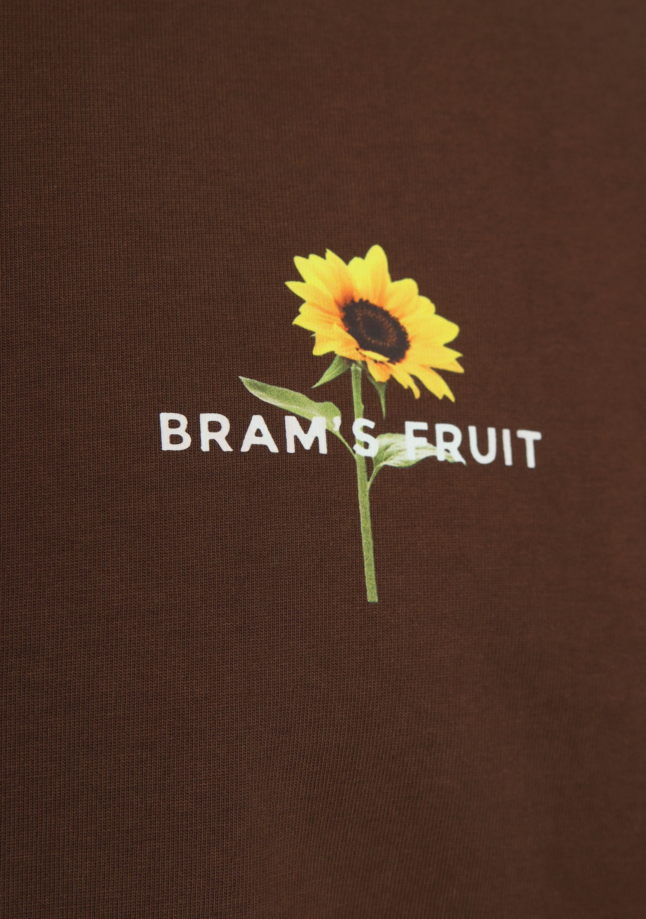 BRAMS FRUIT - TSHIRT - Bruin