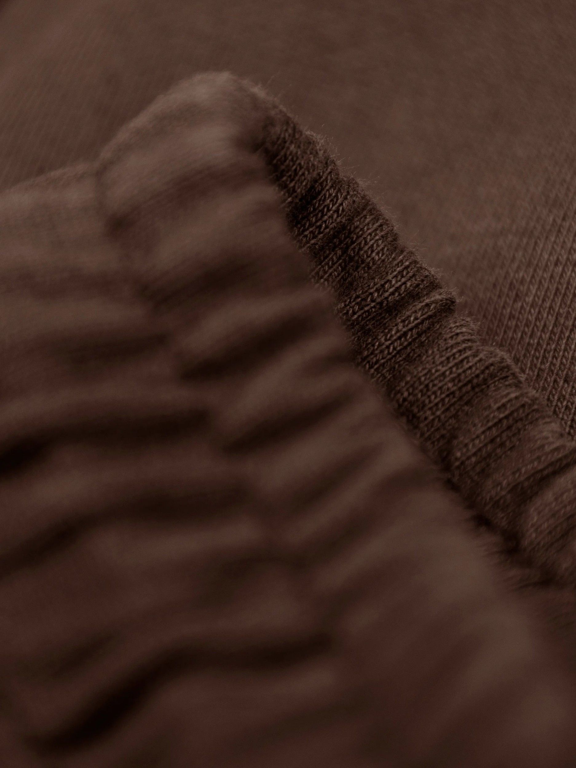 BRAMS FRUIT - BROEK - Bruin