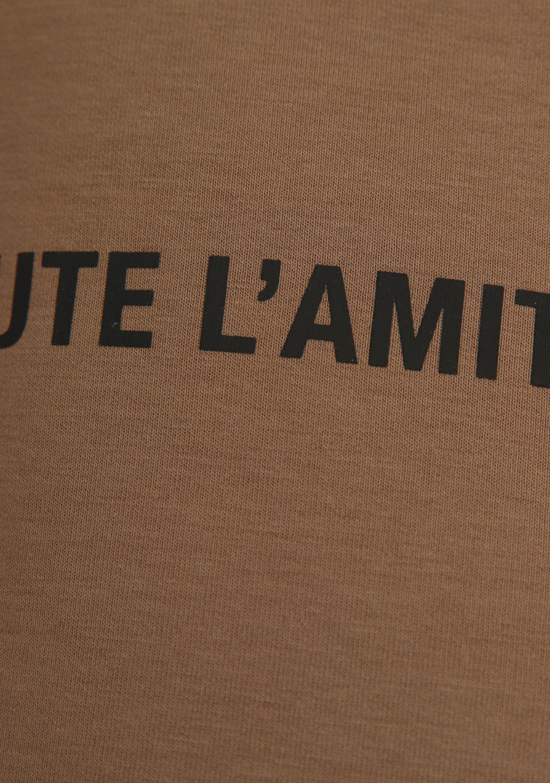 HAUTE L'AMITIÉ - TRUI - Bruin
