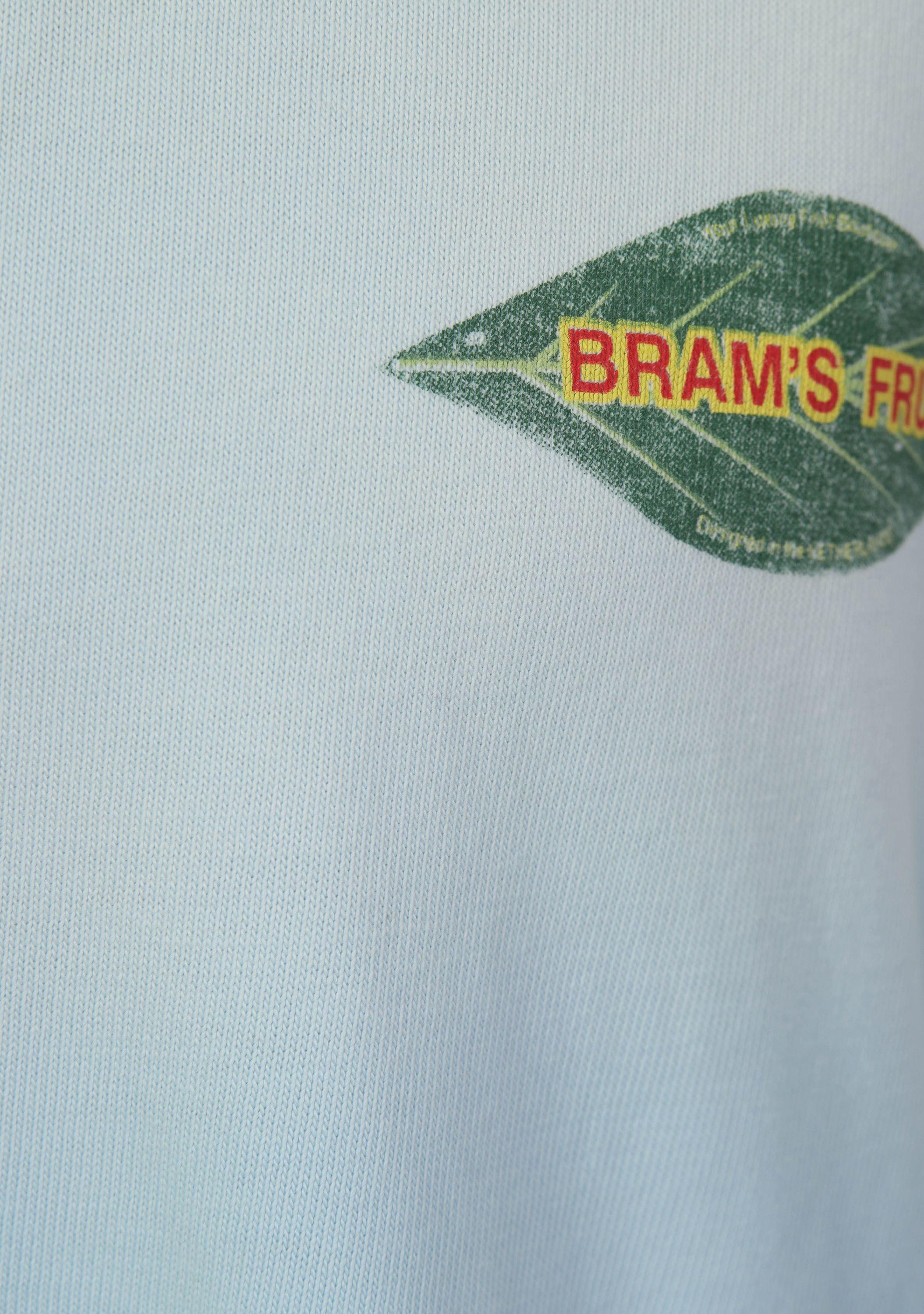 BRAMS FRUIT - TSHIRT - Blauw
