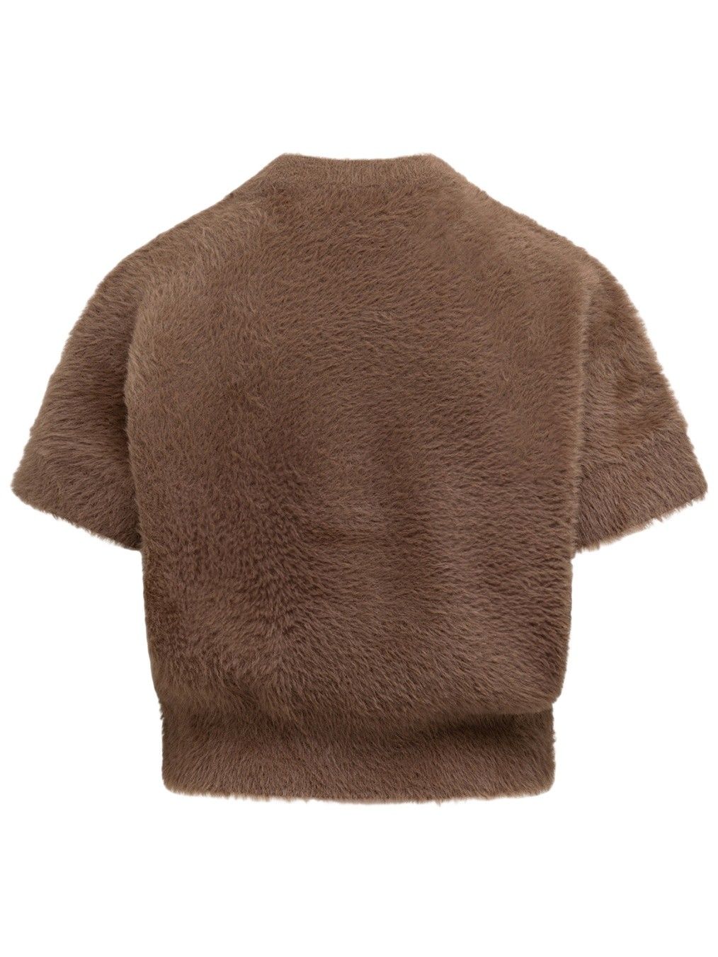 LABEL DOT - TRUI - Bruin
