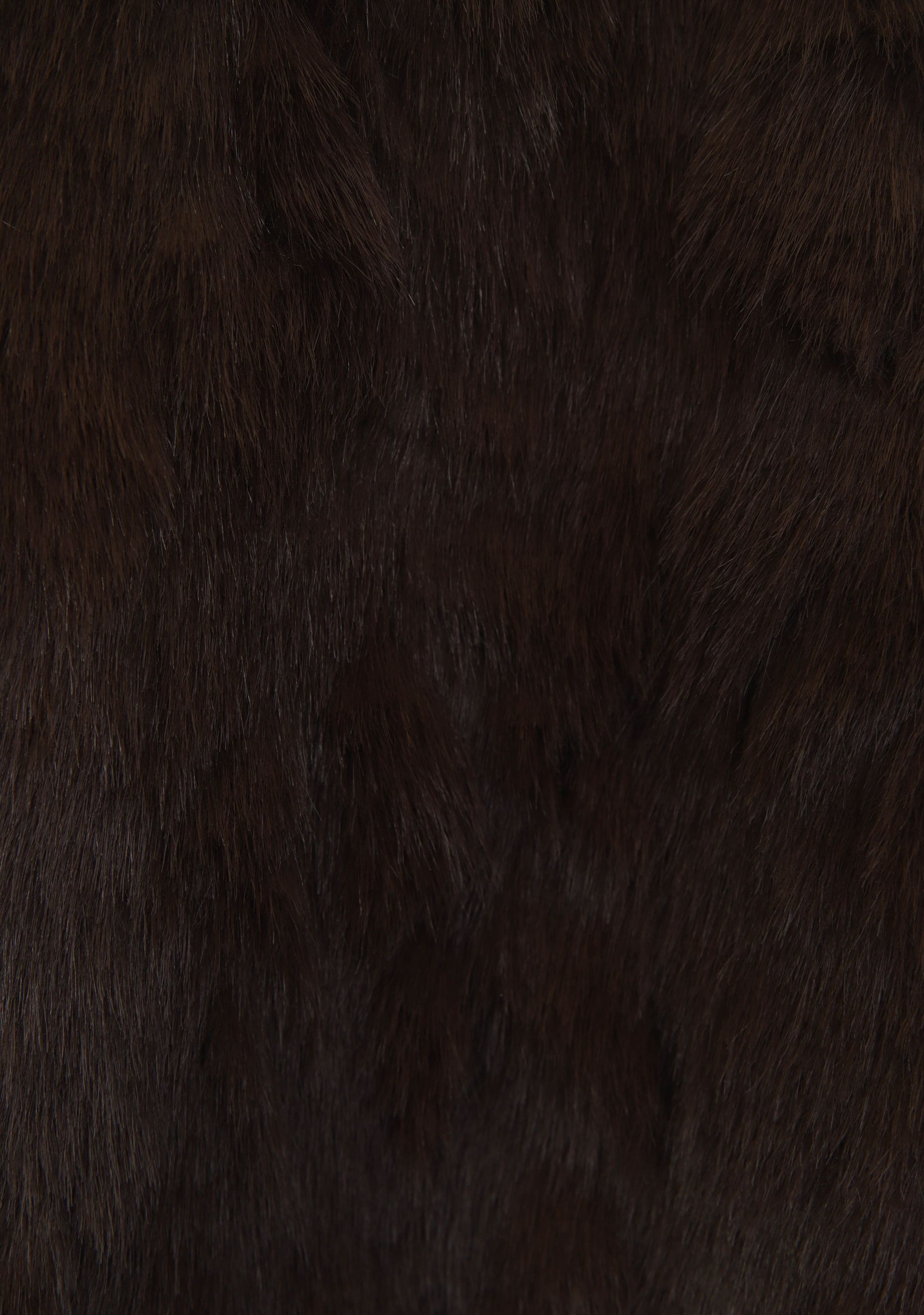 GEISHA - JAS - Bruin