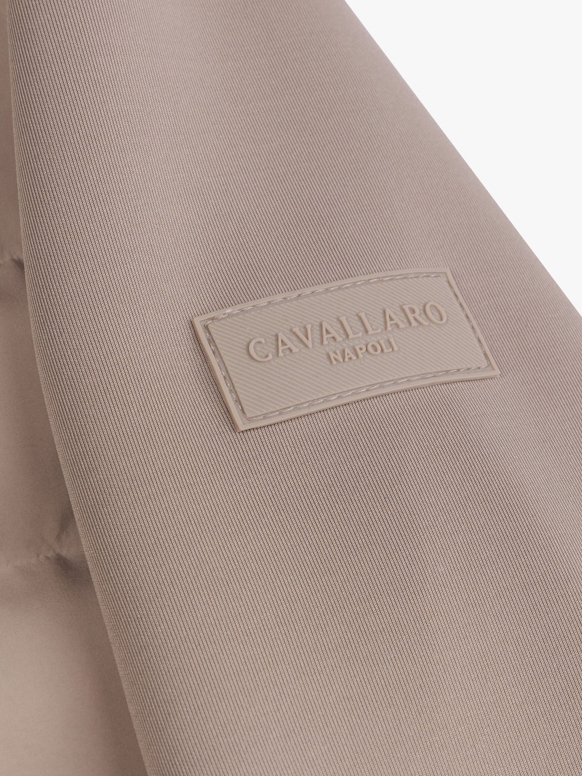 CAVALLARO - JAS - Bruin