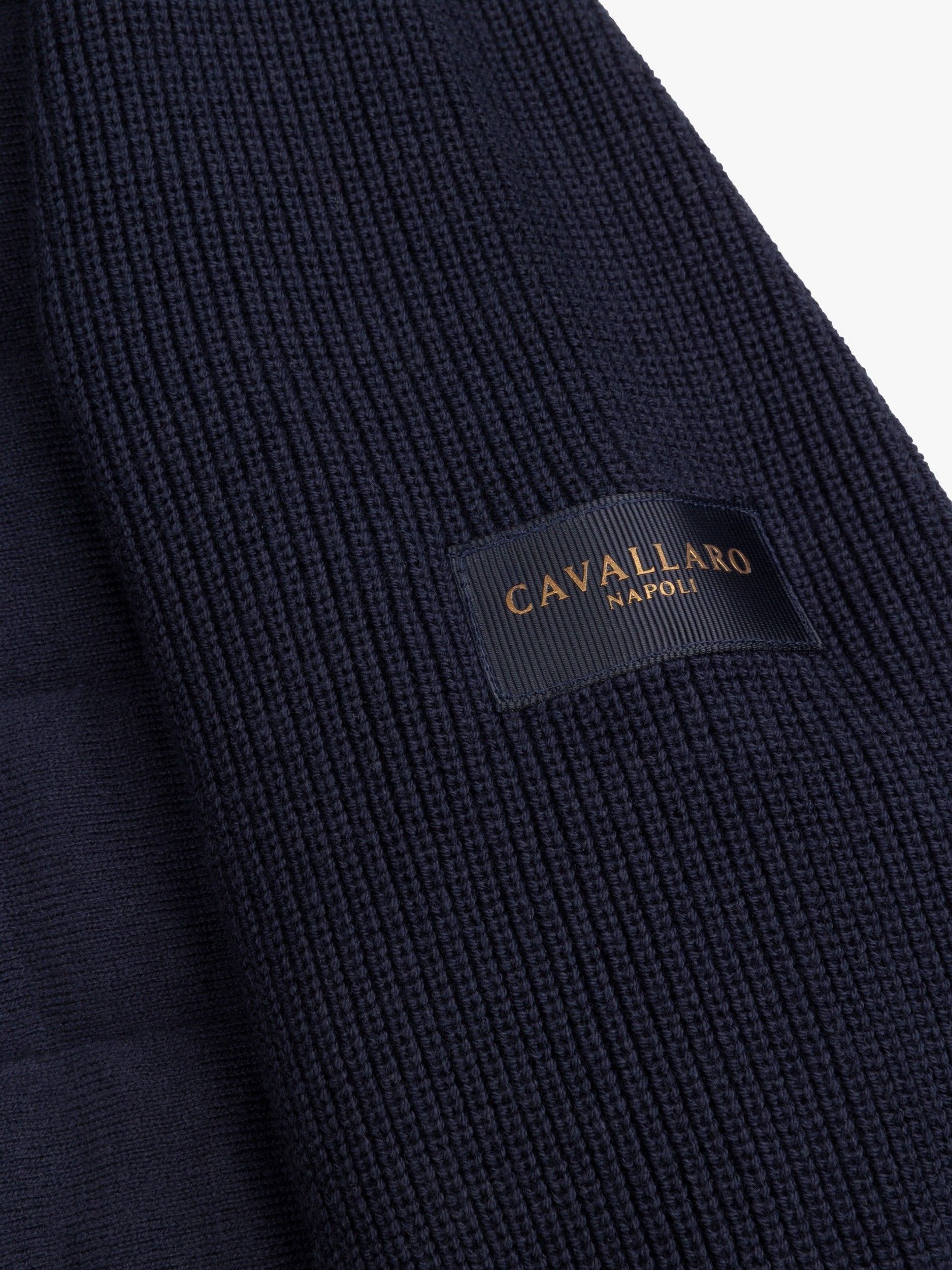 CAVALLARO - VEST - Blauw