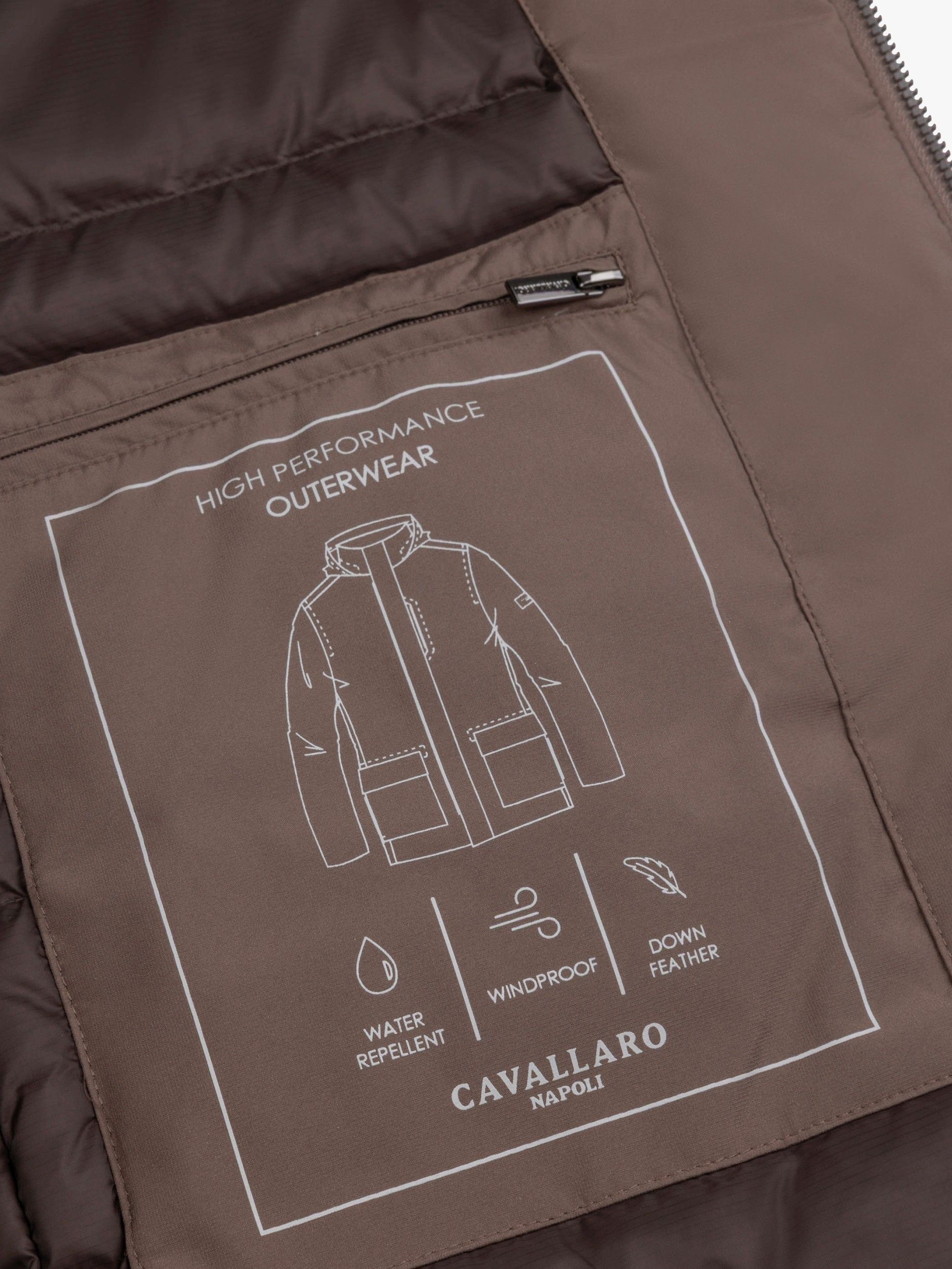 CAVALLARO - JAS - Bruin