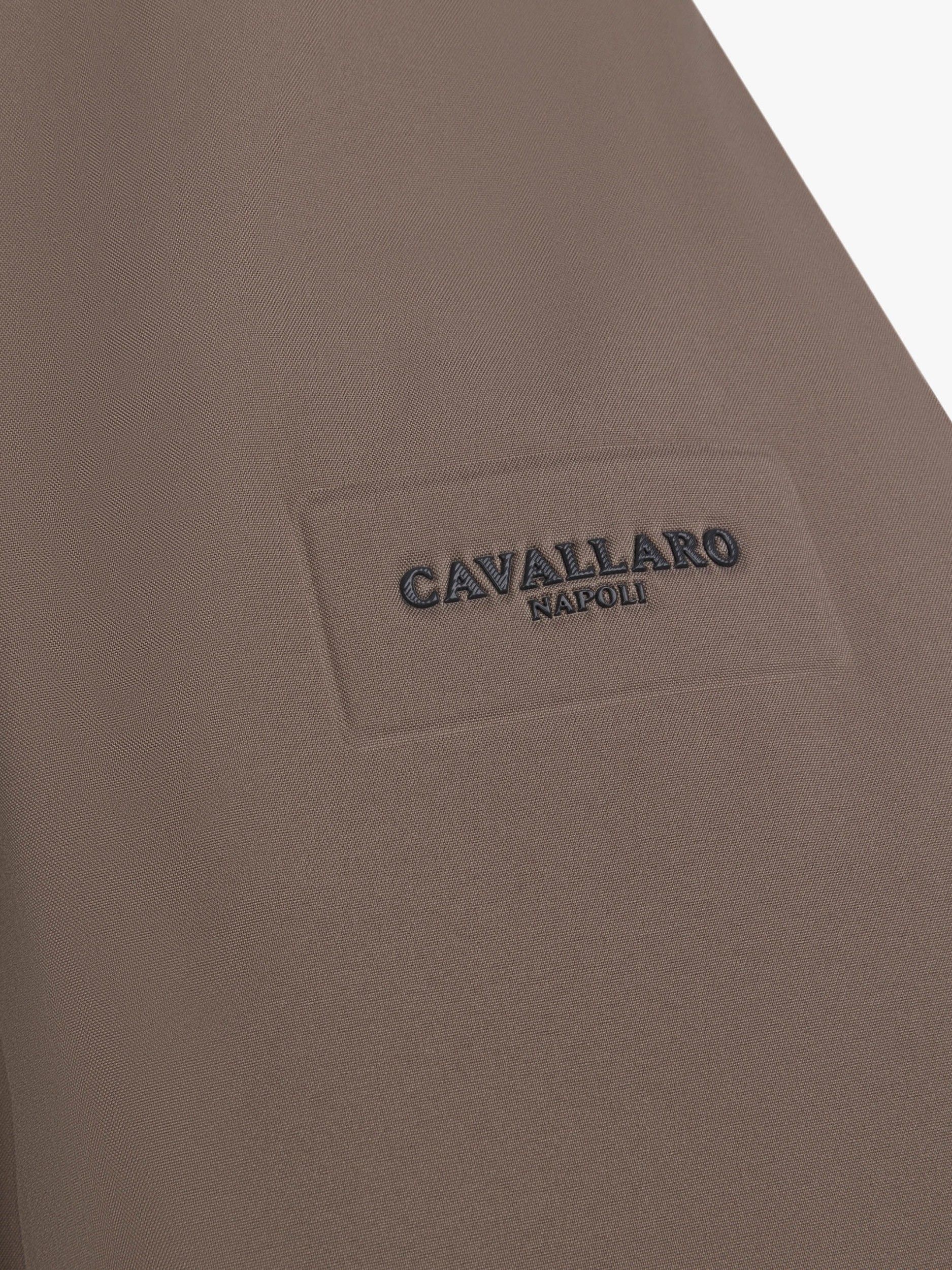 CAVALLARO - JAS - Bruin