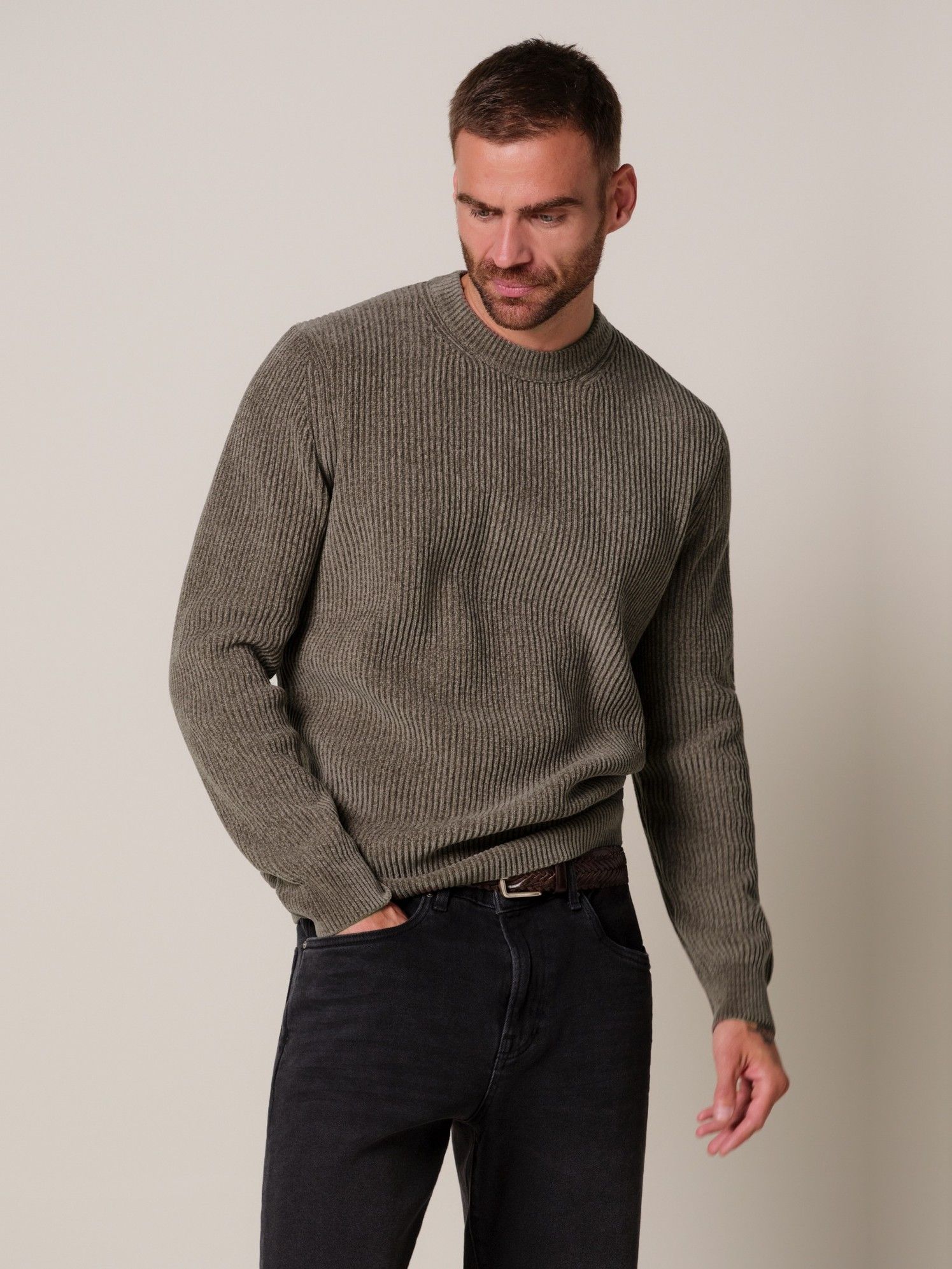 PROFUOMO - TRUI - Bruin