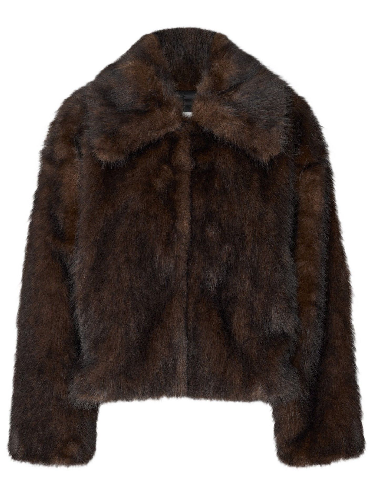 SECOND FEMALE - BLAZER - Bruin