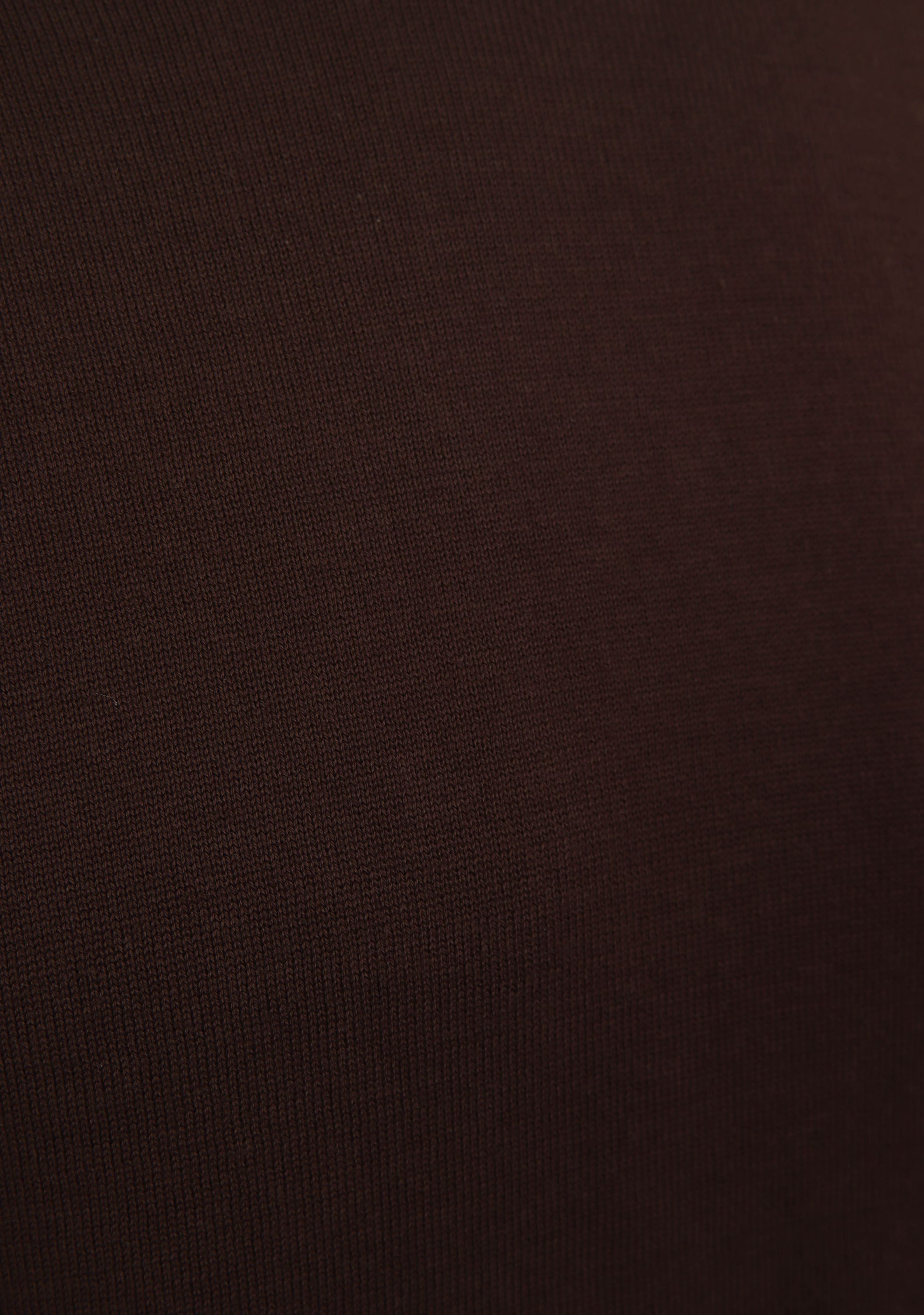 SAINT STEVE - TSHIRT - Bruin