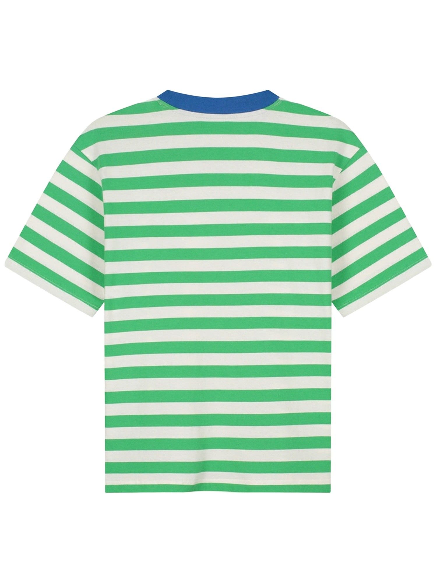 STIEGLITZ - SHIRT - Groen
