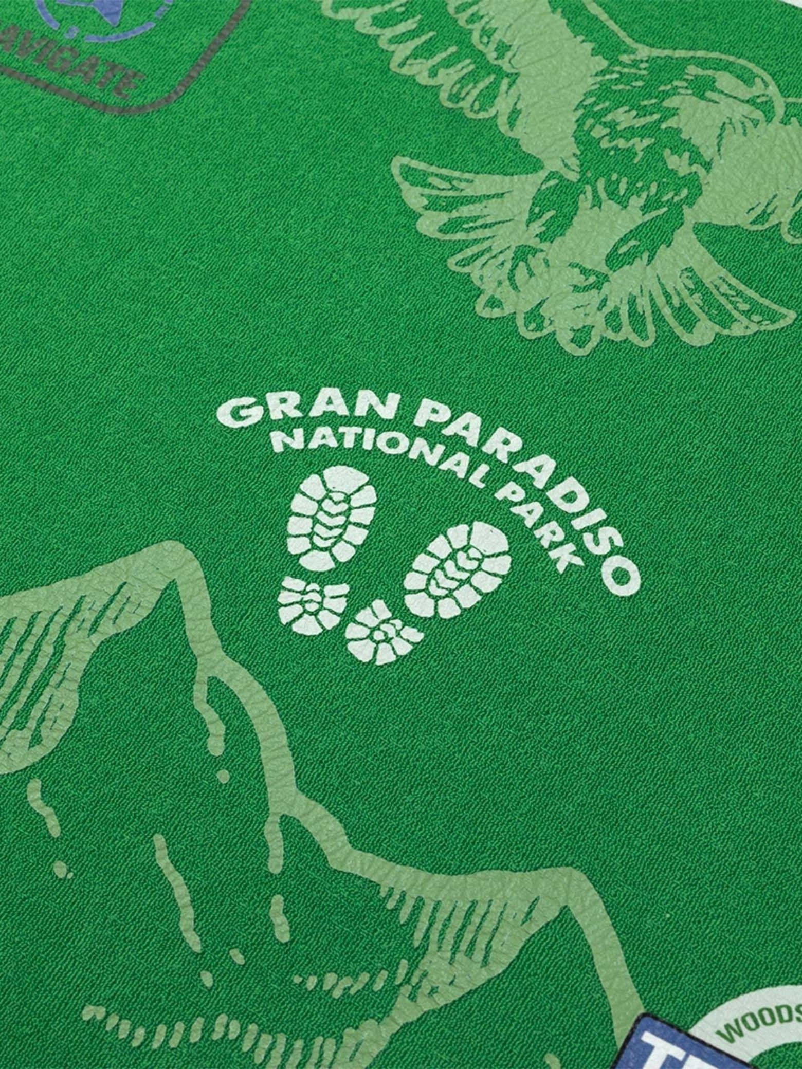 STIEGLITZ - SHIRT - Groen