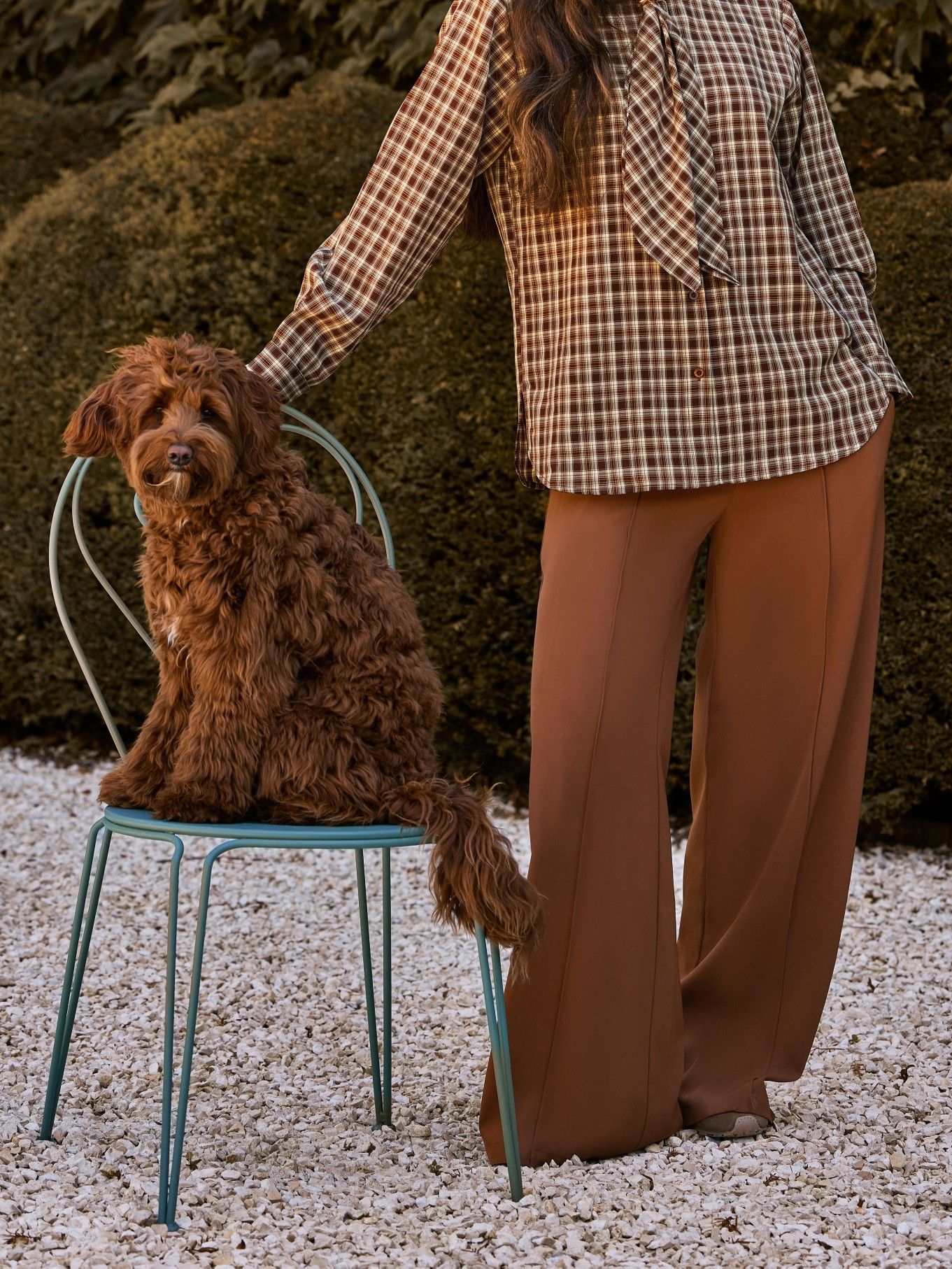 YDENCE - BROEK - Bruin
