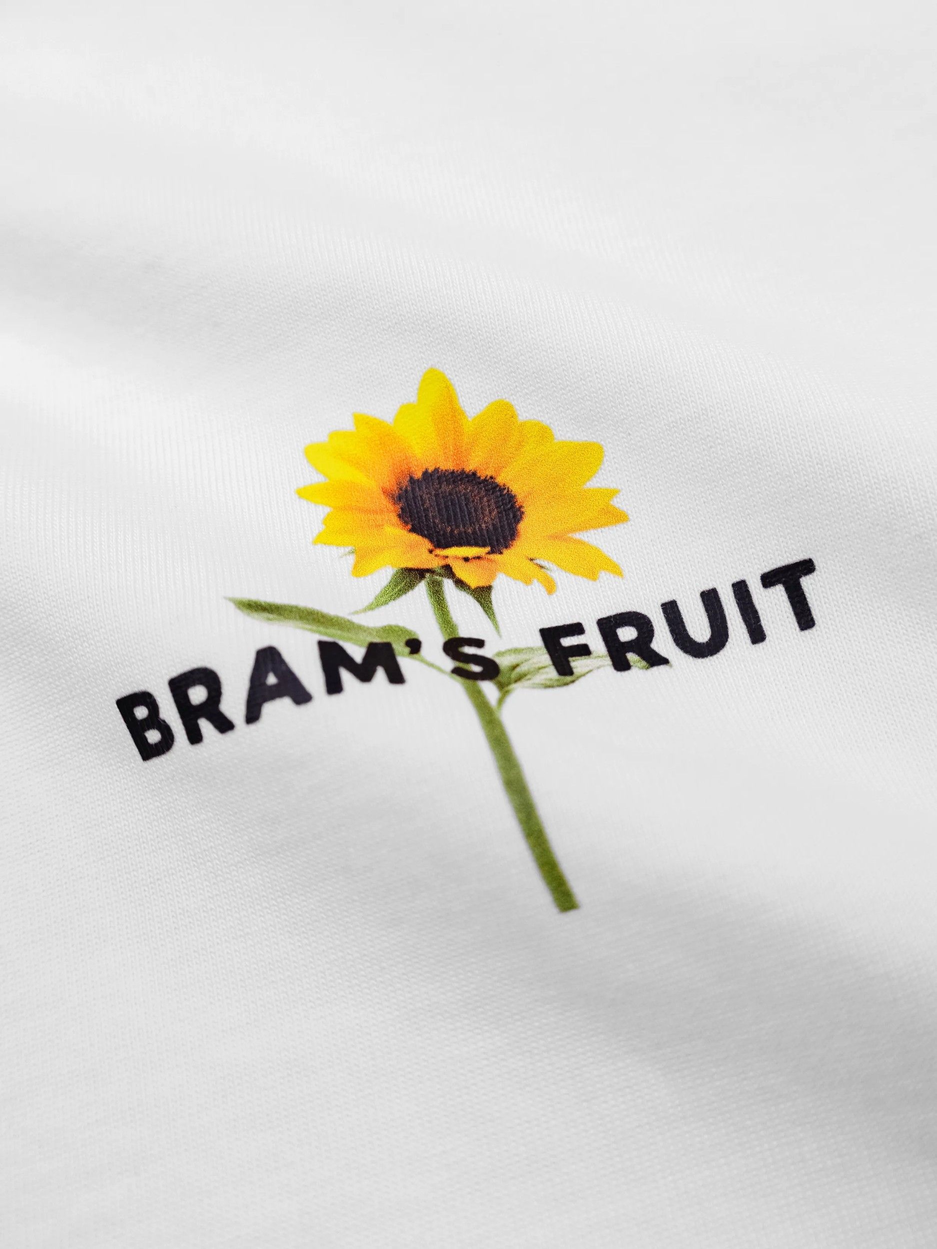 BRAMS FRUIT - TSHIRT - Wit