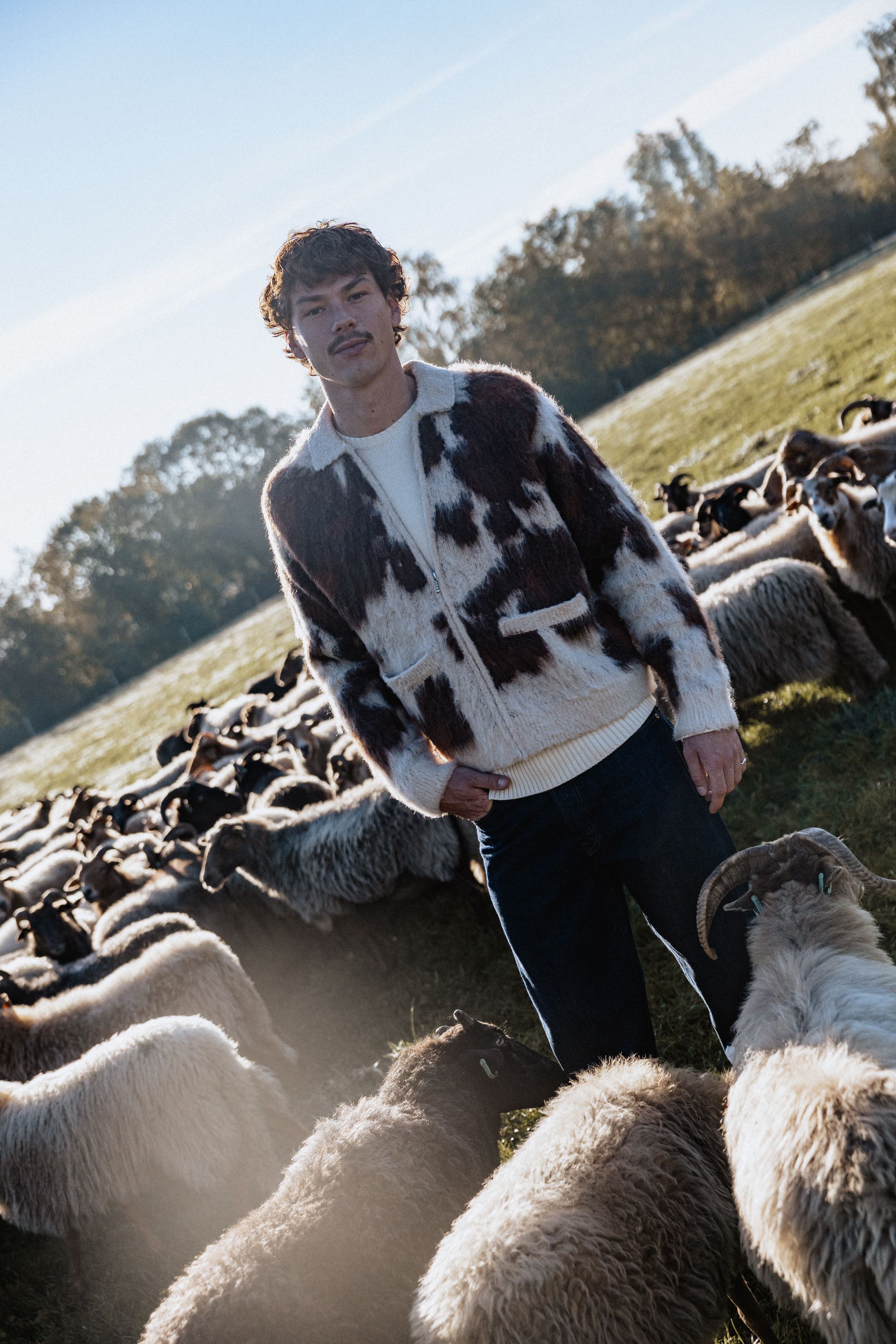 Wild Wool