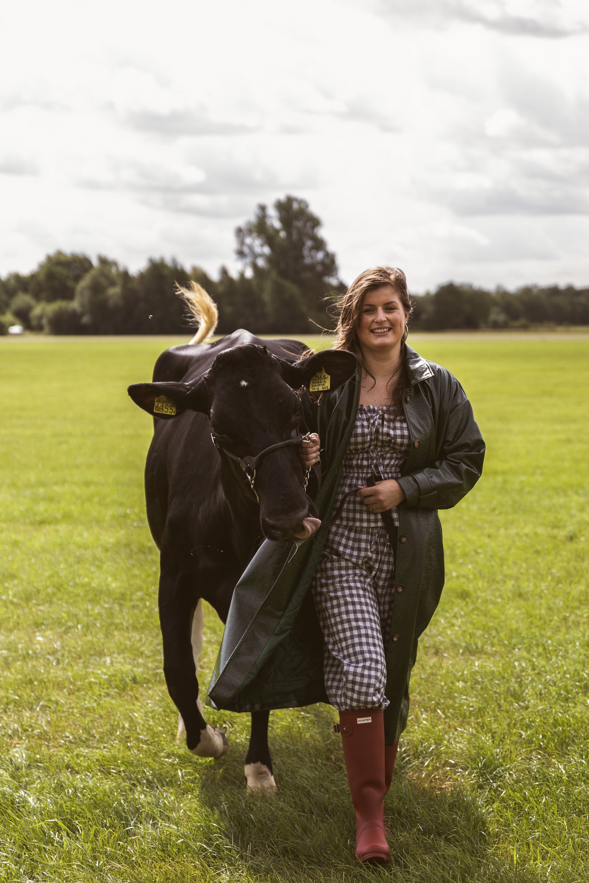 Cow Walk